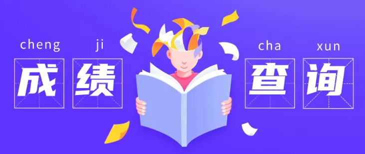 2025 年各省高考成绩查询指南：入口汇总与查询方法详解